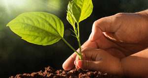 Inner balance coherence plus