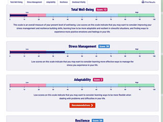stress and well being assessment